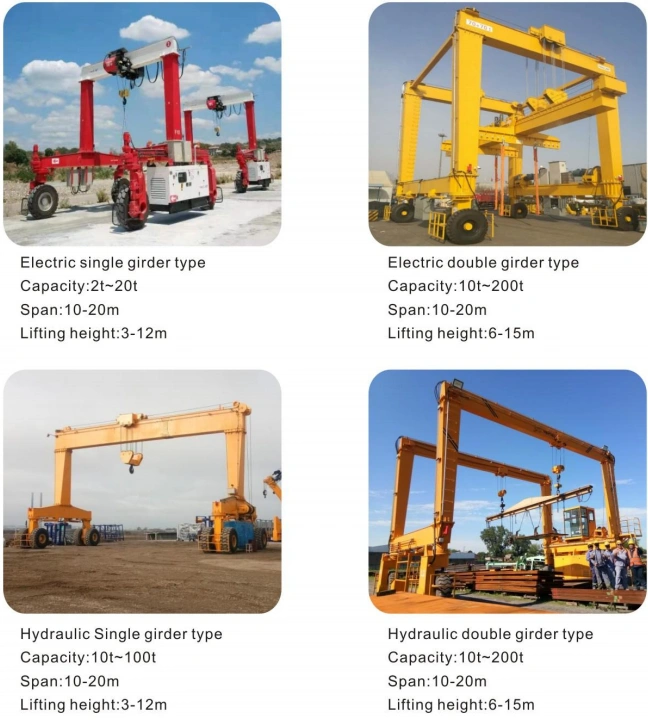 rtg (1).webp