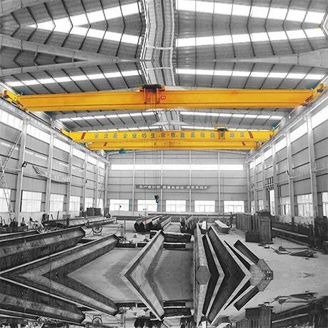 Partial Hang Single Girder Overhead Crane