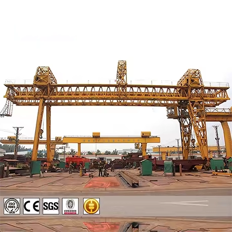 Double Beam Hook Gantry Crane